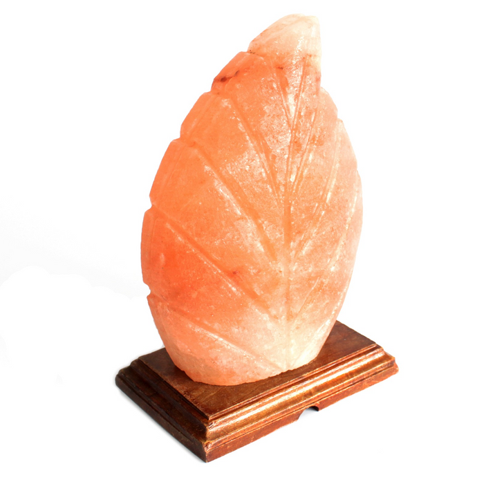 Himalayan Salt Lamp | Devin | Pink | Fern Shaped | 2-3KG