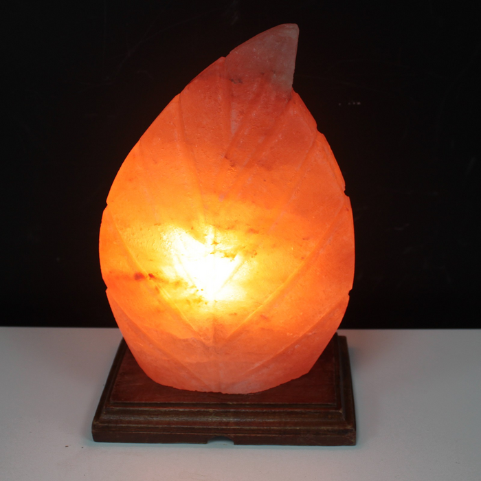 Himalayan Salt Lamp | Devin | Pink | Fern Shaped | 2-3KG