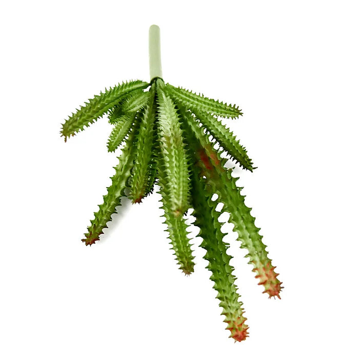 Artificial Cactus Branch – Realistic Plastic Plant for Office, Study, Living Room, and Home Decoration