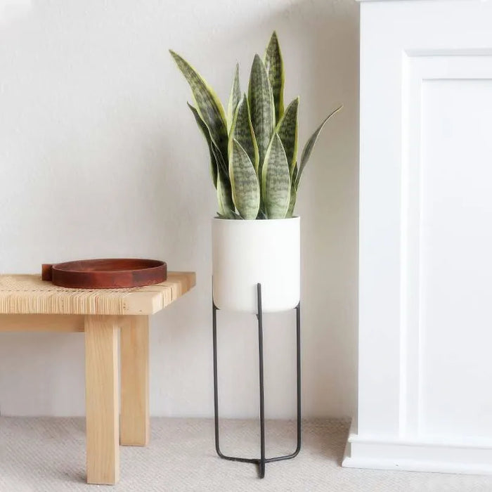 Artificial Sansevieria Plant – 21-68cm Long Tropical Piran Leaves for Hotel, Office, and Home Décor