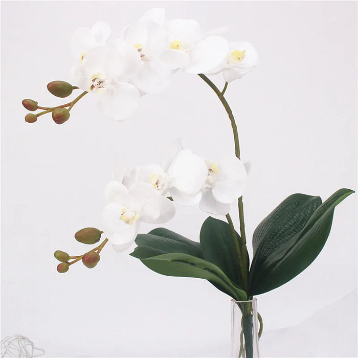 60CM Artificial Phalaenopsis Orchid – Real Touch Fake Flower with Leaves & Butterfly for Home & Wedding Decoration