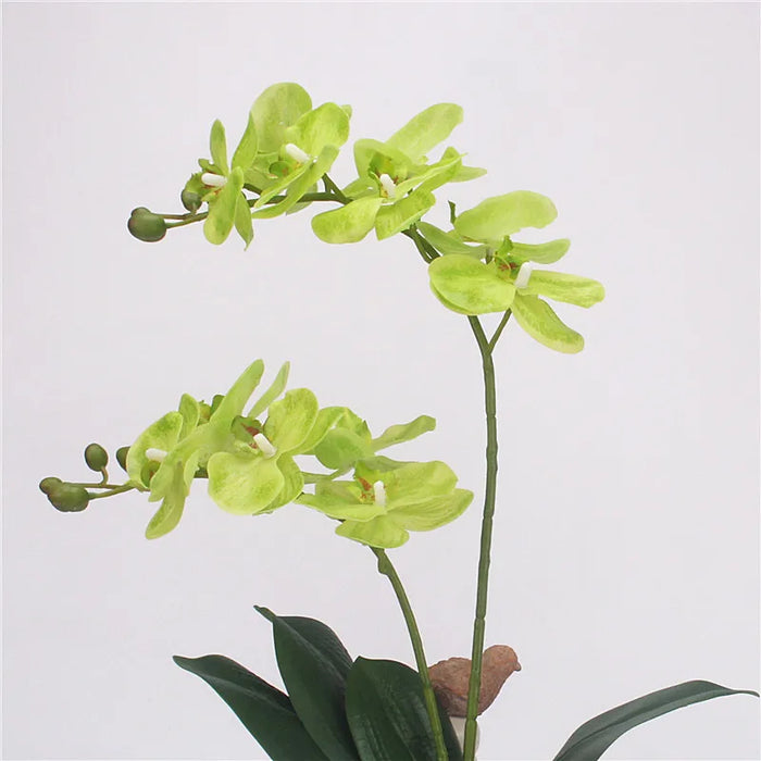 60CM Artificial Phalaenopsis Orchid – Real Touch Fake Flower with Leaves & Butterfly for Home & Wedding Decoration