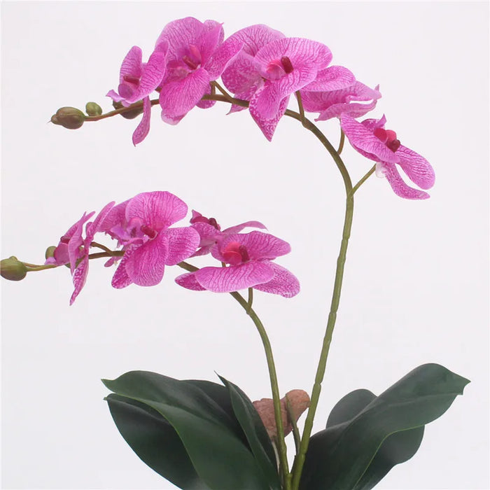 60CM Artificial Phalaenopsis Orchid – Real Touch Fake Flower with Leaves & Butterfly for Home & Wedding Decoration