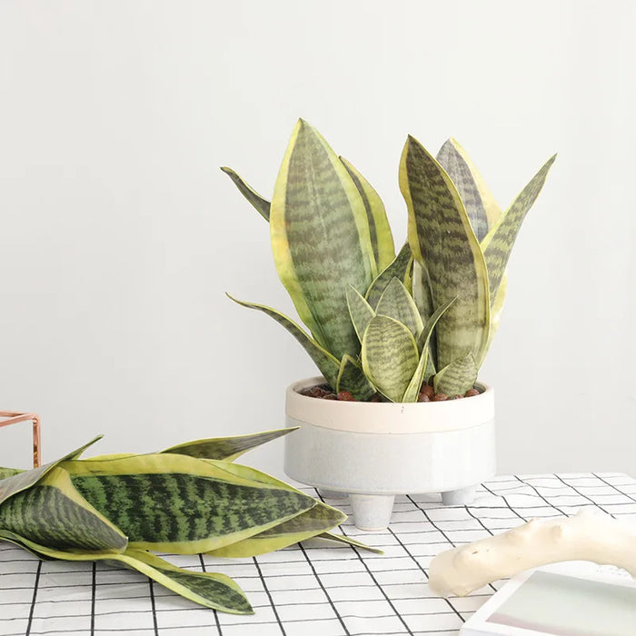 Artificial Sansevieria Plant – 21-68cm Long Tropical Piran Leaves for Hotel, Office, and Home Décor