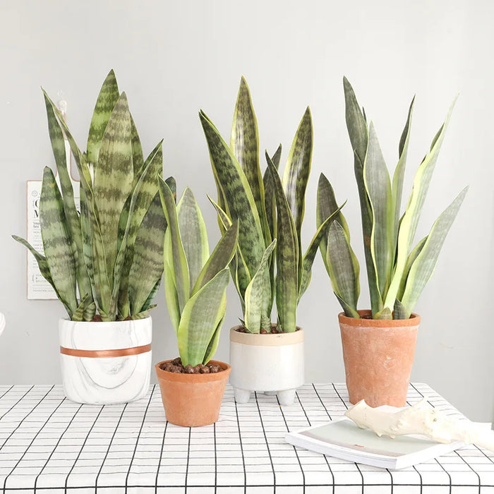 Artificial Sansevieria Plant – Plastic Bonsai Branch for Home Garden, Indoor & Outdoor Decoration, Fake Green Plant
