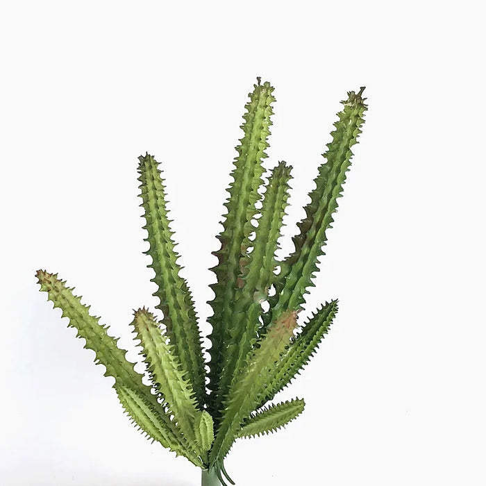 Artificial Cactus Branch – Realistic Plastic Plant for Office, Study, Living Room, and Home Decoration