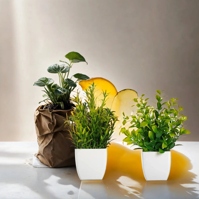 Artificial Plant Tree for Office Desk – Small Potted Plastic Greenery Decoration for Home & Garden
