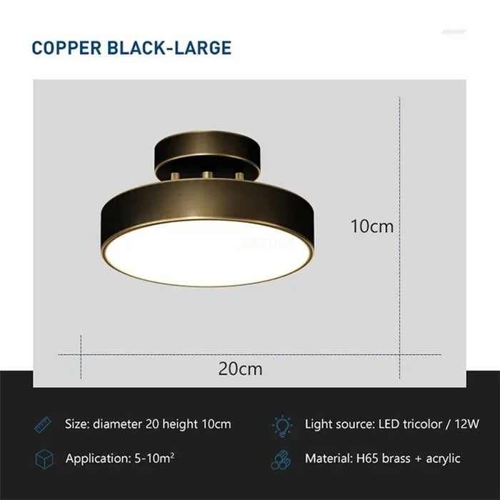 Modern LED Ceiling Light – Rotatable Copper Lamp for Living Room, Bedroom, Hallway, and Restaurant, Soft Illumination for Home Decor