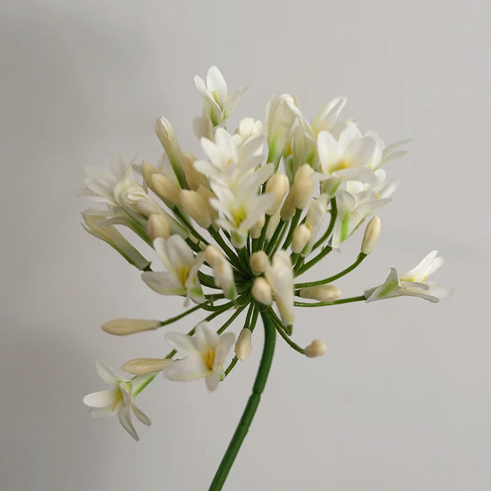 Luxury African Agapanthus Silk Artificial Flower Branch – Wedding, Home, and Table Decoration for Fall & Christmas