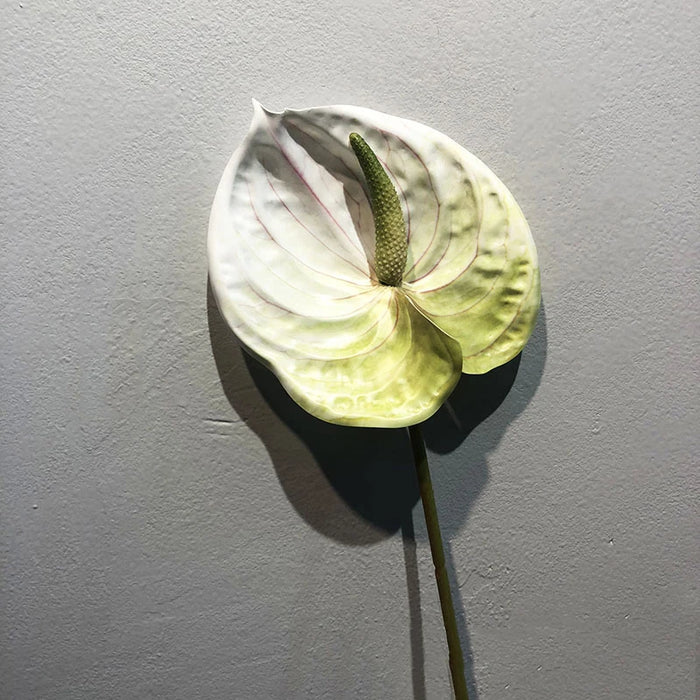 57CM Artificial Anthurium Flower – Realistic Faux Single Stem Flower for Wedding, Home, and Party Decoration