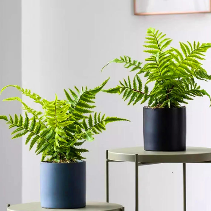 Artificial Fern Leaf Persian Grass Plant – Hanging Decorative Greenery for Home, Office, and Hotel Decoration, DIY Landscaping Greening Material