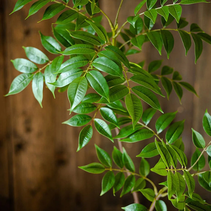 Artificial Ficus Tree – 76-140cm Tall Faux Banyan Plant with Green Palm Leaves for Home, Garden, and Office Decoration