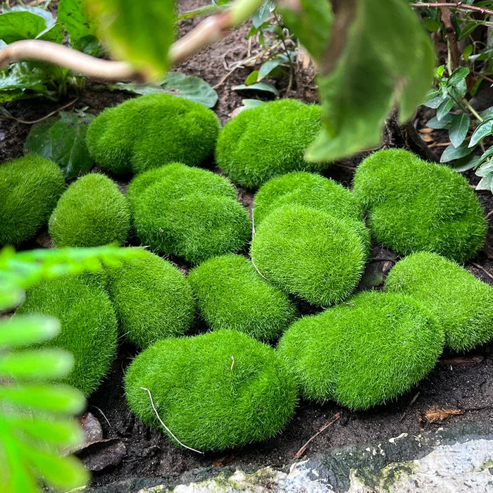 100PCS Green Moss Stones – Artificial Moss Rocks for Garden Crafting, DIY Micro Landscape Decor, Simulation Plants