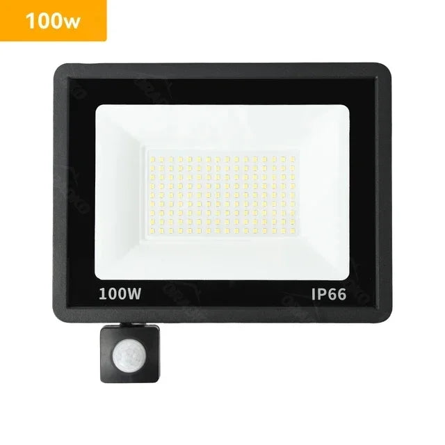 LED Motion Sensor Floodlight – Waterproof Outdoor Spotlight, 10W-100W, IP66 Garden and Wall Lamp