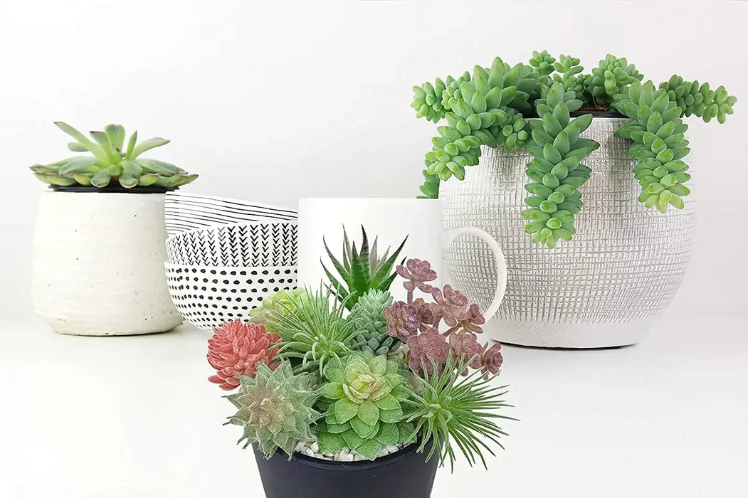 9 Pcs Artificial Succulent Plants – Realistic Faux Succulents for Home, Office, and Desktop Decor in Different Styles & Sizes