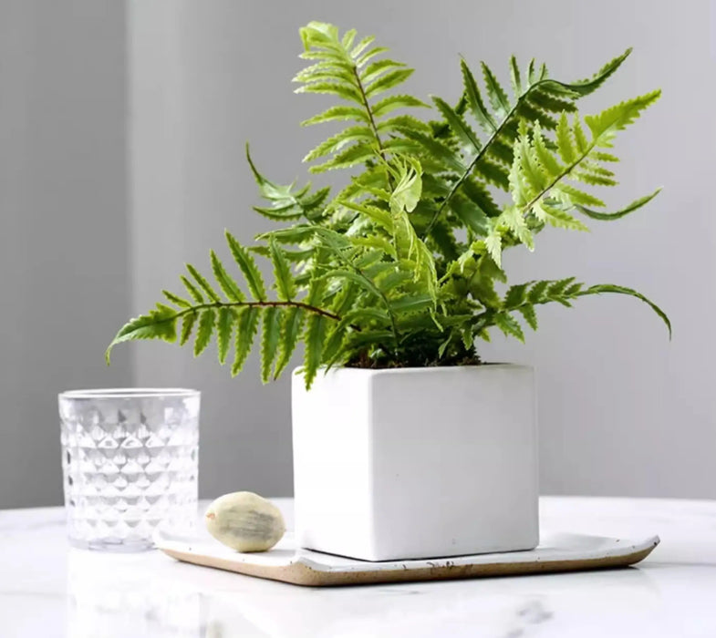 Artificial Fern Leaves Persian Grass Plant – 33-48cm Hanging Wall Décor for Home, Office, and Outdoor DIY Landscaping