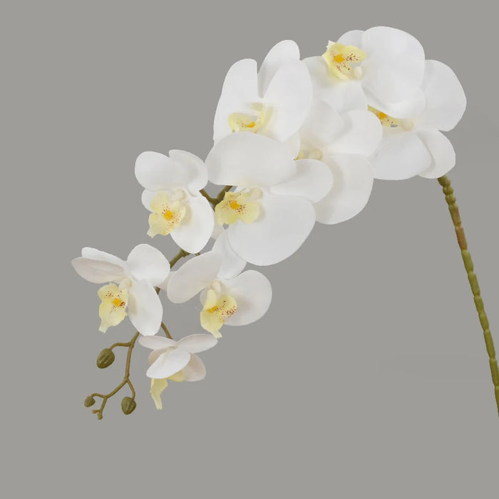 Artificial Butterfly Orchid Flowers – 100cm Real Touch Moth Orchids for Wedding, Party, and Home Decoration