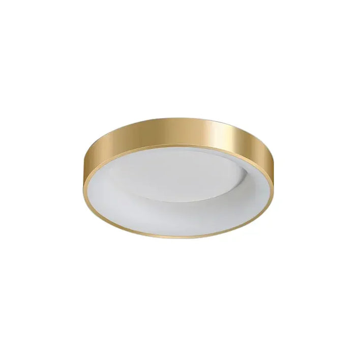 Modern LED Ceiling Light – Dimmable Gold Surface-Mounted Lamp for Master Bedroom, Study, Balcony, and Corridor