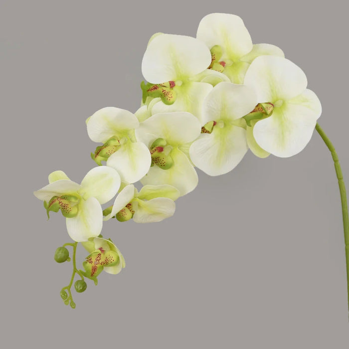 Artificial Butterfly Orchid Flowers – 100cm Real Touch Moth Orchids for Wedding, Party, and Home Decoration