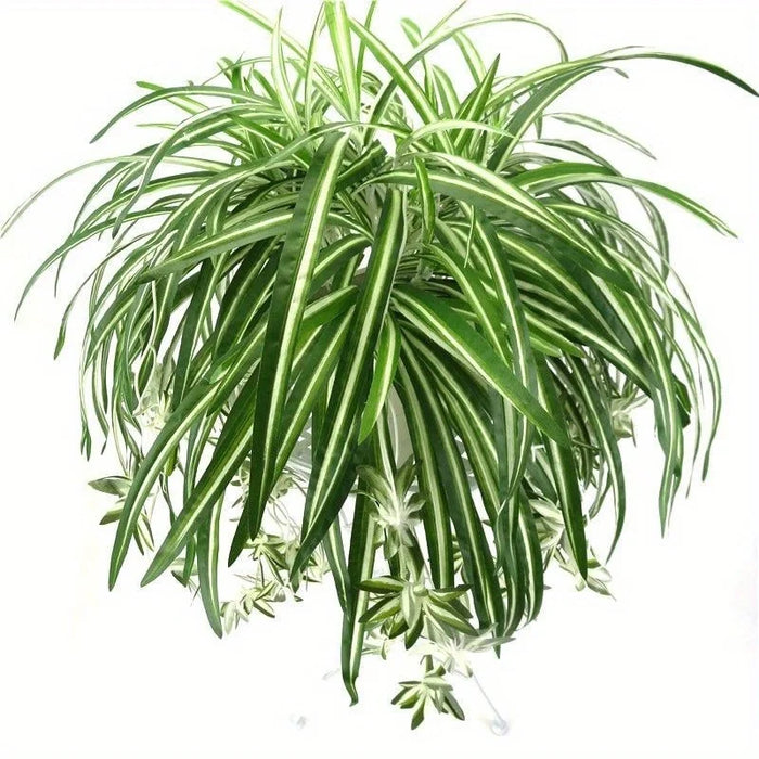 Artificial Chlorophytum Hanging Wall Plant – PVC Fake Greenery for Living Room, Home, and Office Decor – 65cm