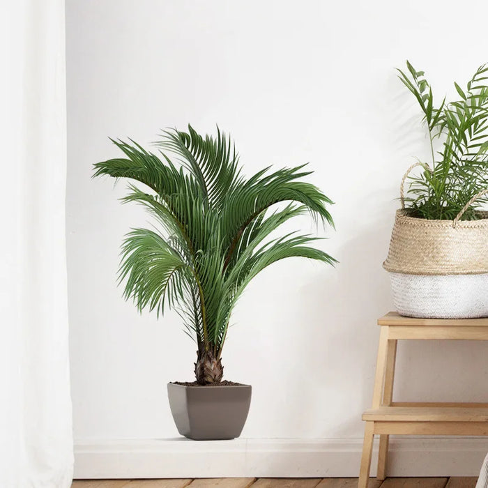 Tropical Green Plant Leaf Self-Adhesive Wall Decor Sticker – Waterproof PVC Decal for Living Room, Bedroom, and Home Decoration