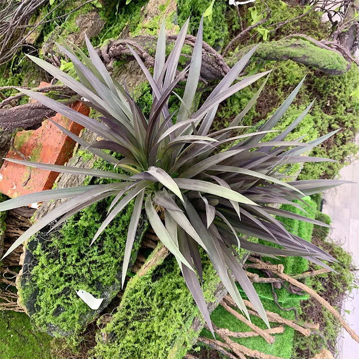 Artificial Chlorophytum Comosum Grass Bundle – 45cm Fake Orchid Green Plant for Home, Balcony, and Wedding Decoration