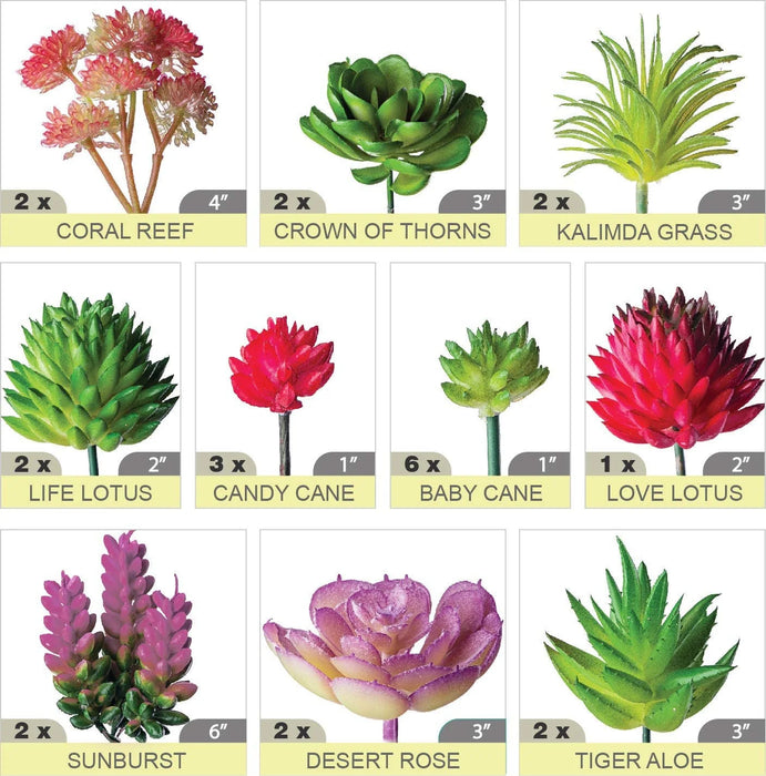 24pcs Artificial Succulent Plants – Realistic Faux Cactus and Aloe Stems for Terrariums, Wedding, Party, and Home Décor