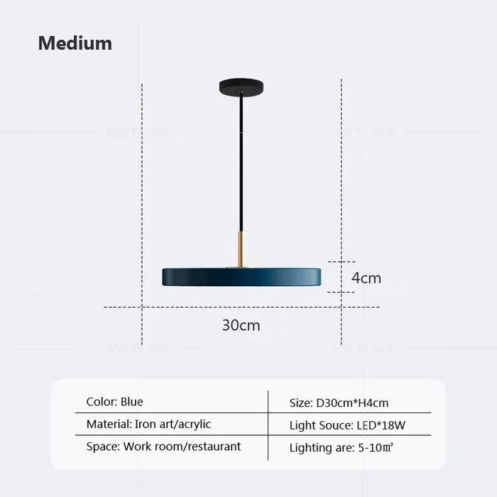 Modern LED Pendant Light – 23/30cm Disc Hanging Lamp for Bedroom, Living Room, Office, and Aisle – Dimmable LED Ceiling Light