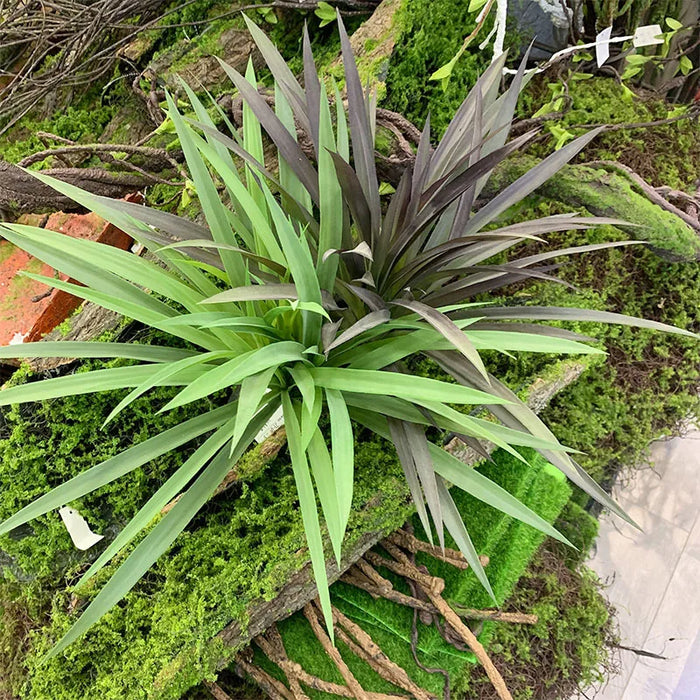 Artificial Chlorophytum Comosum Grass Bundle – 45cm Fake Orchid Green Plant for Home, Balcony, and Wedding Decoration