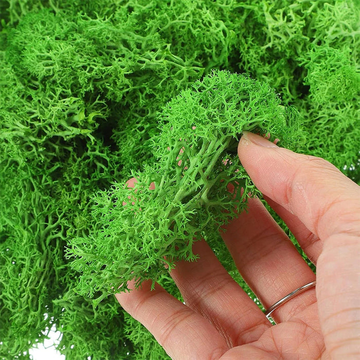 200g Artificial Green Moss Grass – Mini Eternal Life Fake Grass for DIY Crafts, Home & Garden Decoration