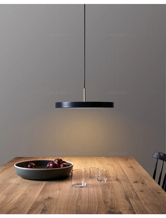 Modern LED Pendant Light – 23/30cm Disc Hanging Lamp for Bedroom, Living Room, Office, and Aisle – Dimmable LED Ceiling Light