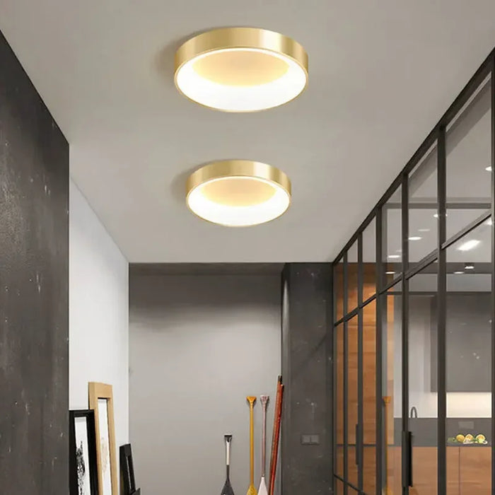 Modern LED Ceiling Light – Dimmable Gold Surface-Mounted Lamp for Master Bedroom, Study, Balcony, and Corridor