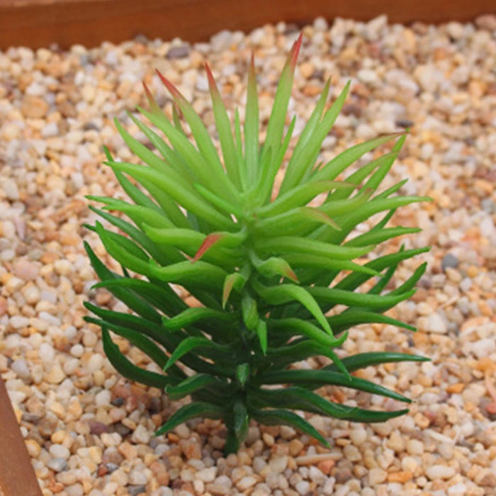 12 Pieces Mini Artificial Succulent Plants – Color Random, Unpotted Simulation Plants for Outdoor Garden & Party Decorations