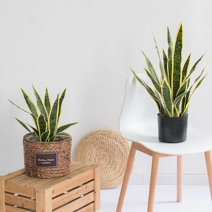 Artificial Sansevieria Plant – 32/37cm Fake Green Plastic Bonsai for Home & Garden Decoration, Indoor & Outdoor Use