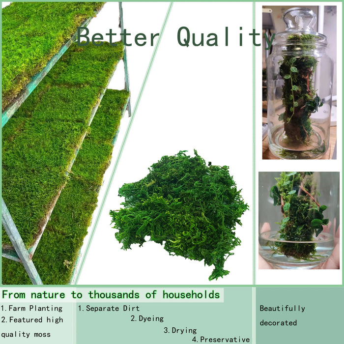 Artificial Moss Green Orchid Potting Mix – Peat Moss Pole for Indoor and Outdoor Plant Decoration