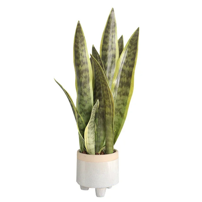 3pcs Artificial Sansevieria Plants – Bonsai Decoration with Tiger Piran Leaves for Home, Garden, and Desktop Décor