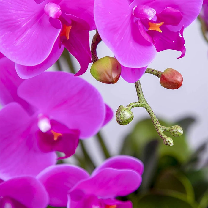 9-Head Butterfly Orchid Artificial Flowers - 38” Latex Phalaenopsis Bouquet for Wedding, Party, and Home Decoration