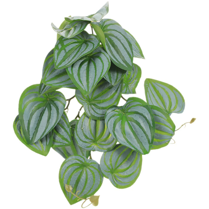 Artificial Hermit Crab Plants for Tank – Suction Cup Hanging Vines, Reptile Climbing Decor, Fake Aquarium & Terrarium Plants, Indoor Decoration