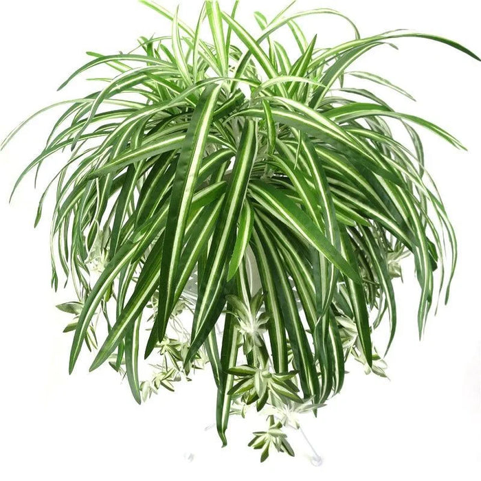 Artificial Hanging Chlorophytum Plant – 65cm PVC Fake Green Vine for Home, Office, and Living Room Decor