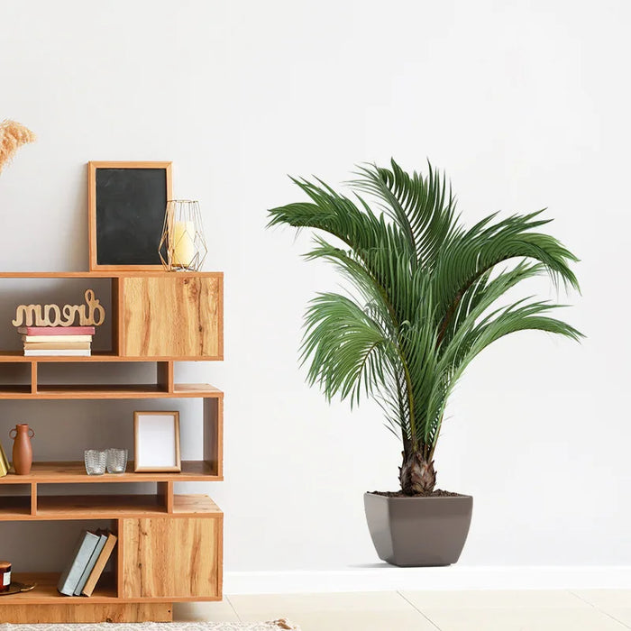 Tropical Green Plant Leaf Self-Adhesive Wall Decor Sticker – Waterproof PVC Decal for Living Room, Bedroom, and Home Decoration