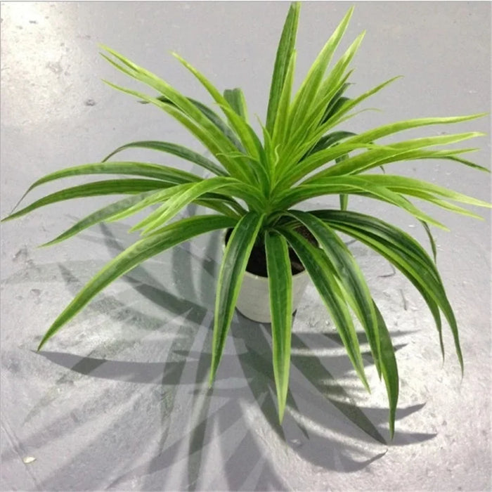 Artificial Chlorophytum Plastic Plant – 25cm Decorative Silk Fake Tree for Home, Office, and Tabletop Decoration (No Pot)