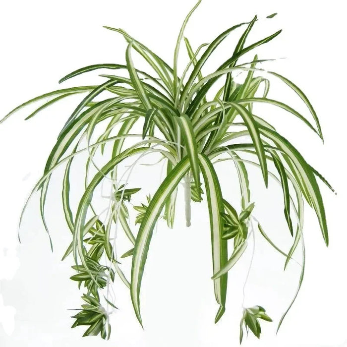 Simulation 5-Pronged Phnom Penh Spider Plant – Artificial Wedding Scene Layout Plant Wall Accessories for Home Decoration
