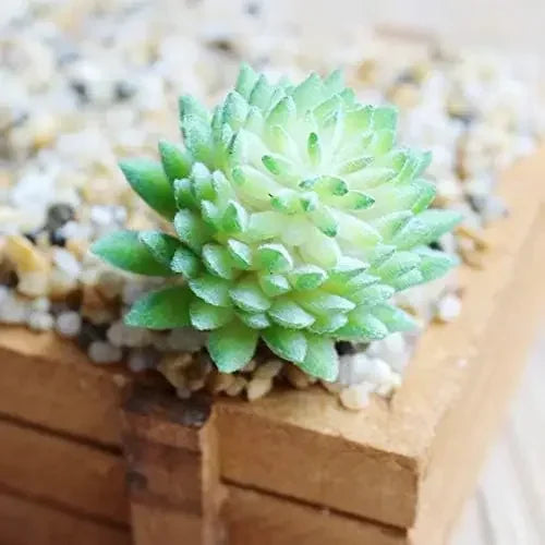 7PCS Artificial Succulents – Lifelike Faux Plants for Home, Wedding & Garden Décor – Mini Succulent Plants