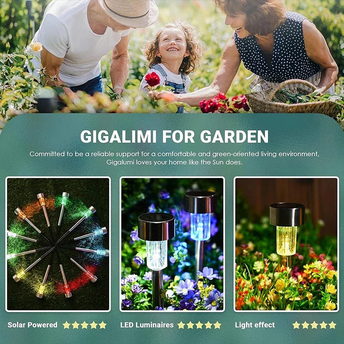 Solar-Powered Outdoor Garden Lights – Waterproof LED Pathway Lanterns for Yard, Lawn, and Landscape Decoration | IP44 Waterproof