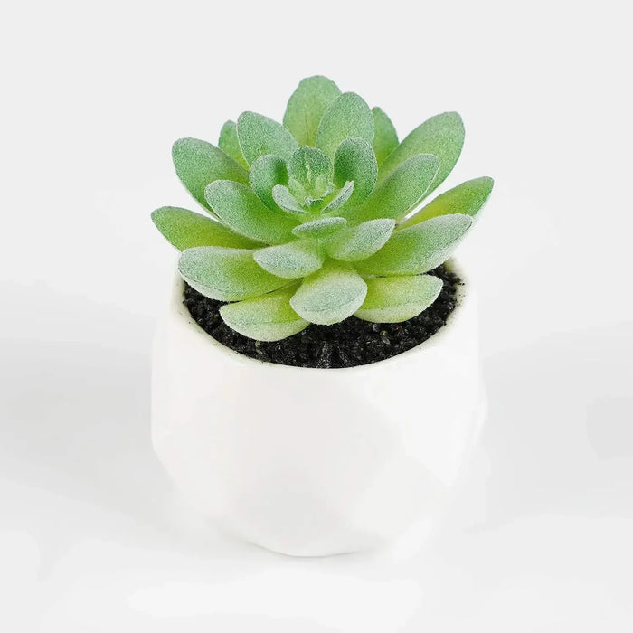 7PCS Artificial Succulents – Lifelike Faux Plants for Home, Wedding & Garden Décor – Mini Succulent Plants