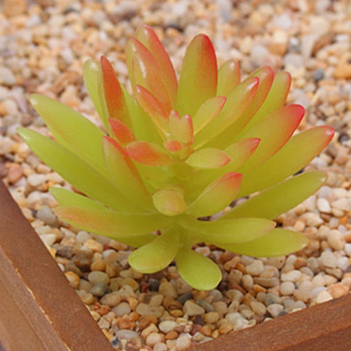 12 Pieces Mini Artificial Succulent Plants – Color Random, Unpotted Simulation Plants for Outdoor Garden & Party Decorations