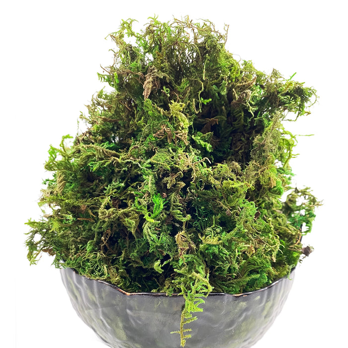 Artificial Moss Green Orchid Potting Mix – Peat Moss Pole for Indoor and Outdoor Plant Decoration