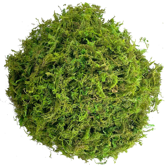 Artificial Moss Green Orchid Potting Mix – Peat Moss Pole for Indoor and Outdoor Plant Decoration