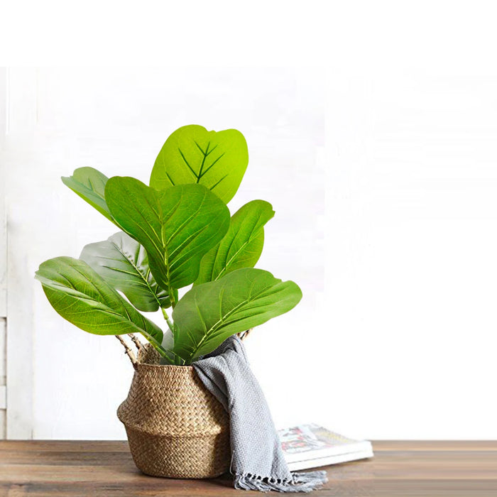 Artificial Violin Ficus Tree – 45-63cm Nordic Style Potted Plant for Home, Office, and Garden Decoration