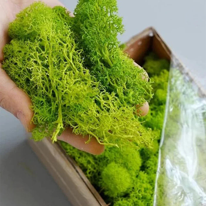 200g Artificial Green Moss Grass – Mini Eternal Life Fake Grass for DIY Crafts, Home & Garden Decoration